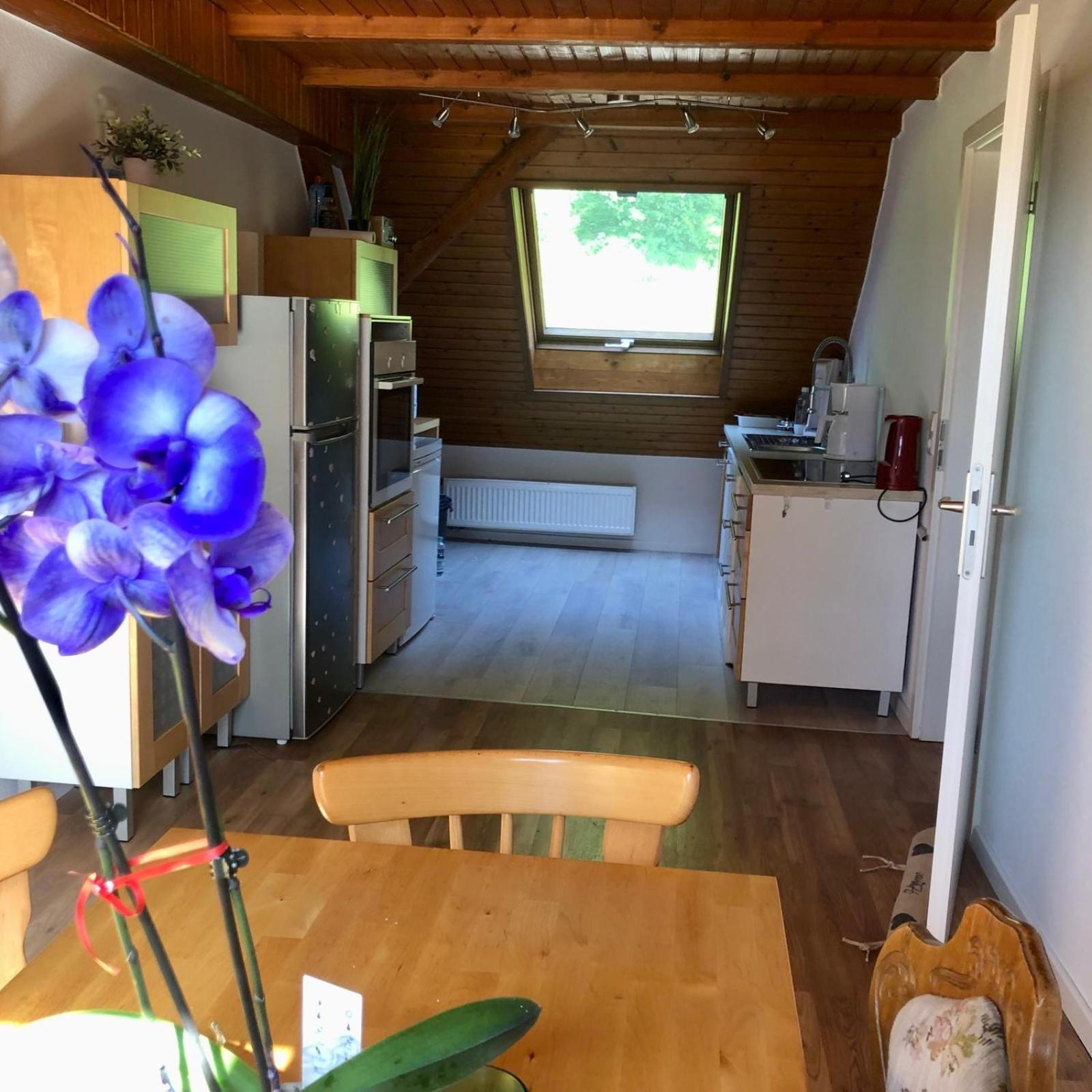 Ferien Im Schwarzwald Freiamt Ξενοδοχείο Εξωτερικό φωτογραφία