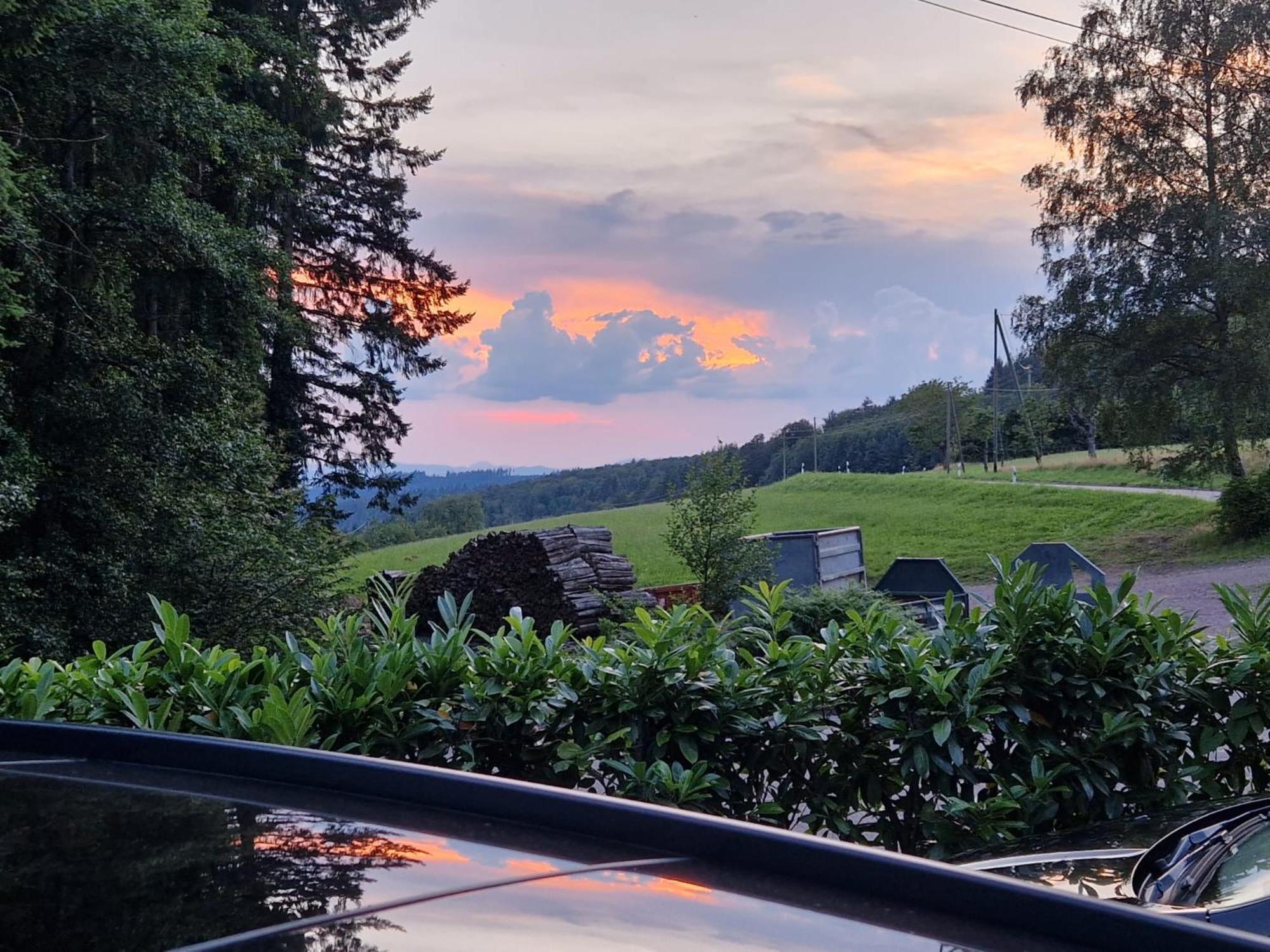Ferien Im Schwarzwald Freiamt Ξενοδοχείο Εξωτερικό φωτογραφία
