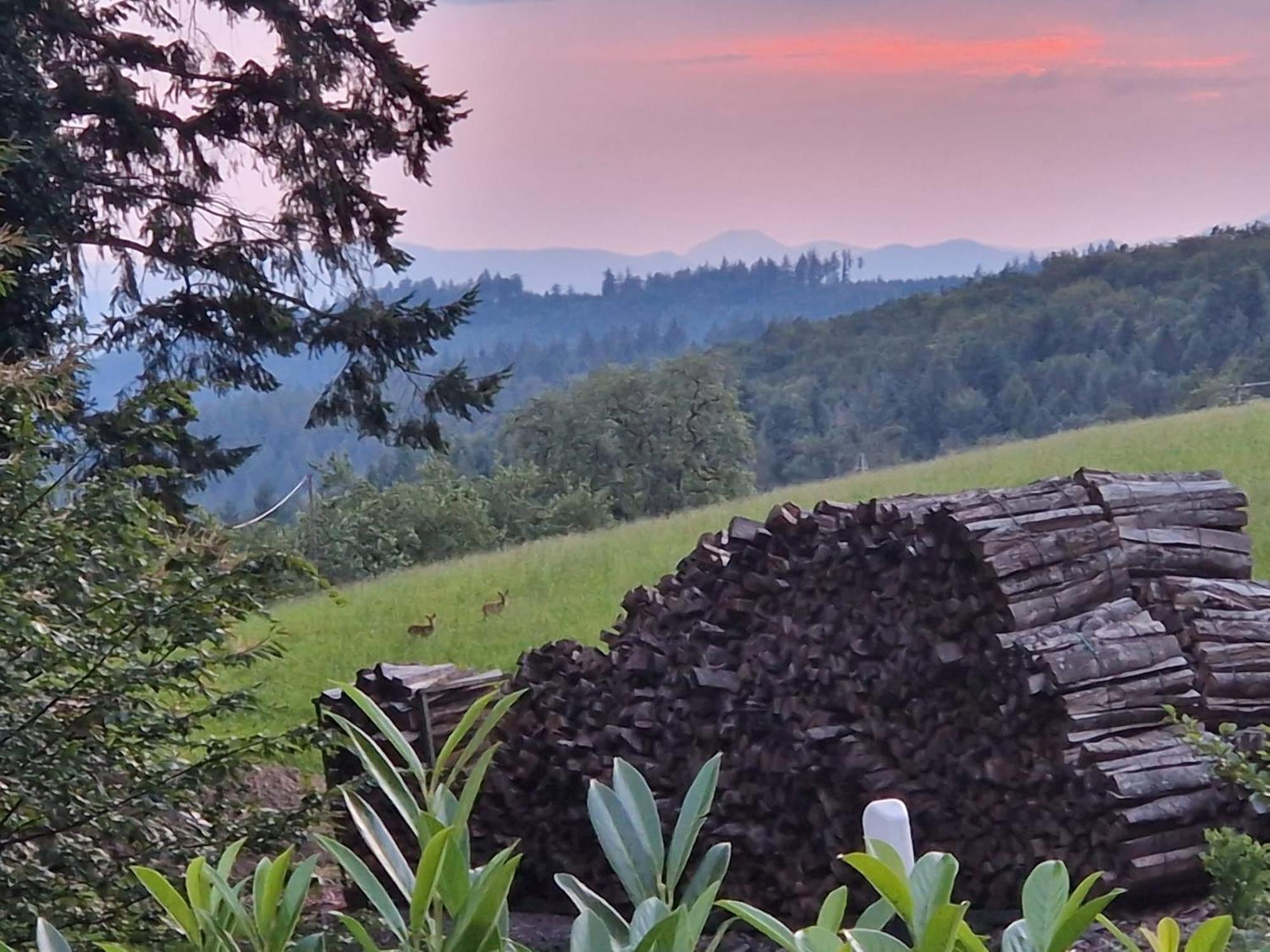 Ferien Im Schwarzwald Freiamt Ξενοδοχείο Εξωτερικό φωτογραφία