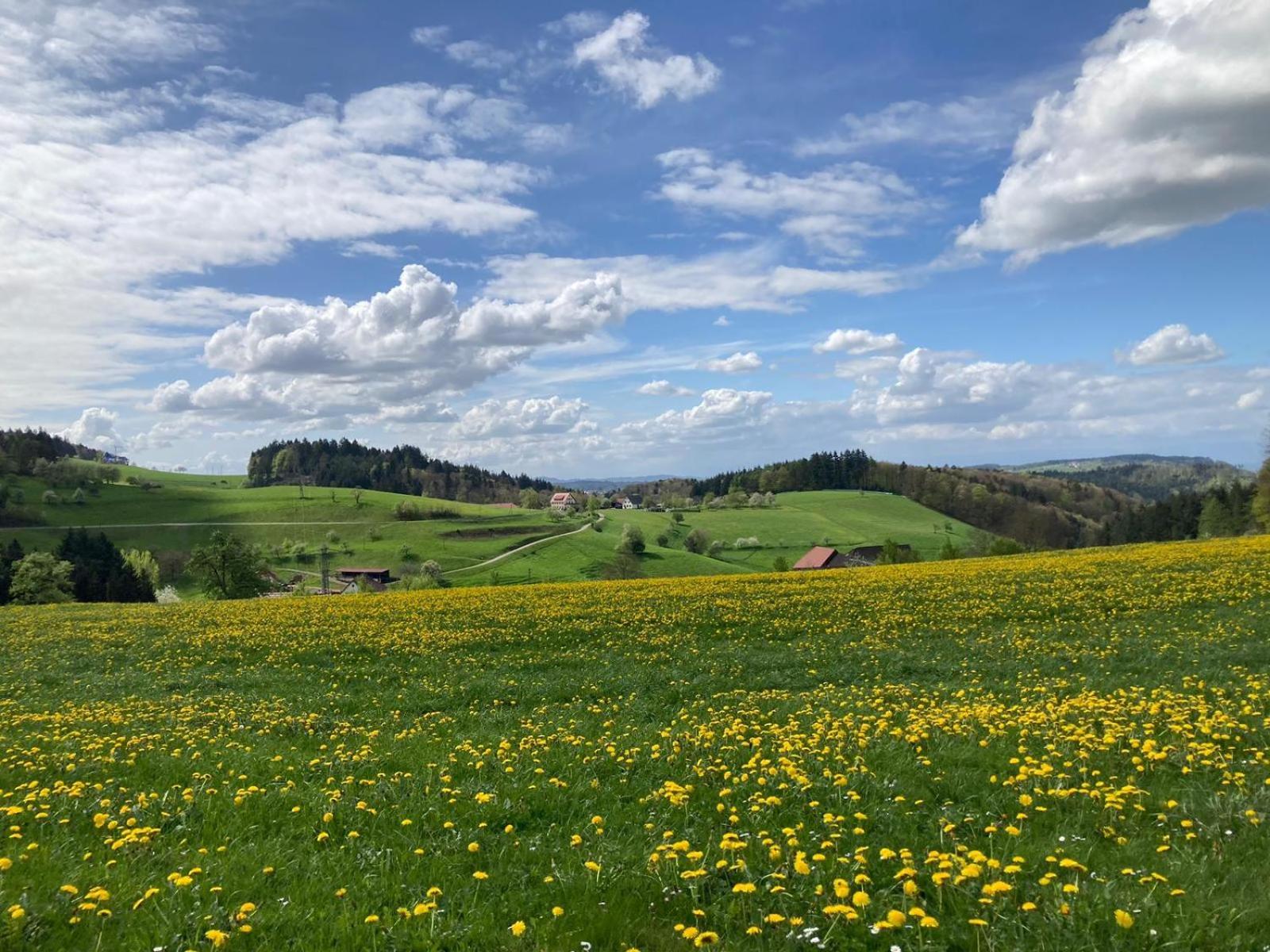 Ferien Im Schwarzwald Freiamt Ξενοδοχείο Εξωτερικό φωτογραφία