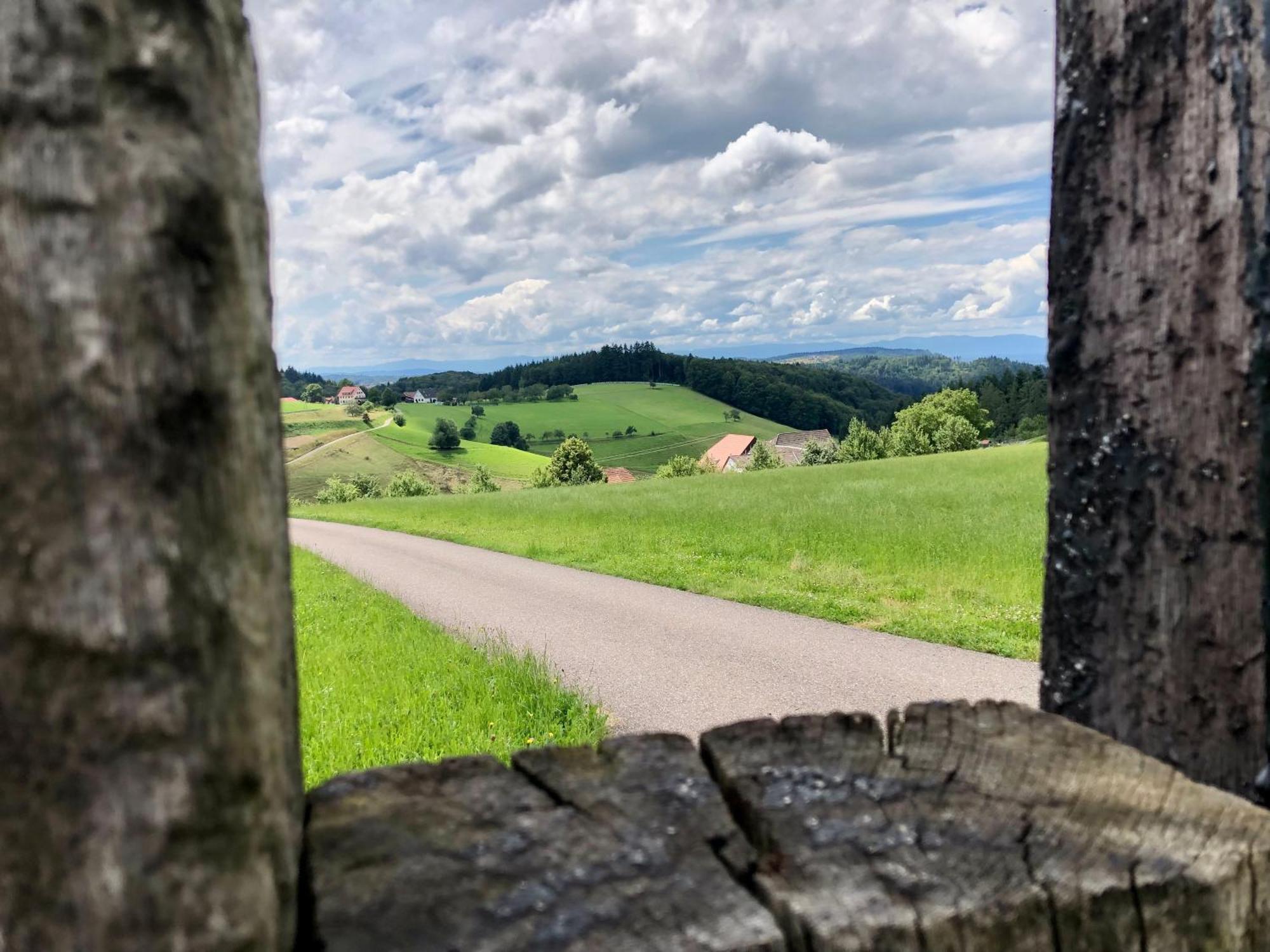 Ferien Im Schwarzwald Freiamt Ξενοδοχείο Εξωτερικό φωτογραφία