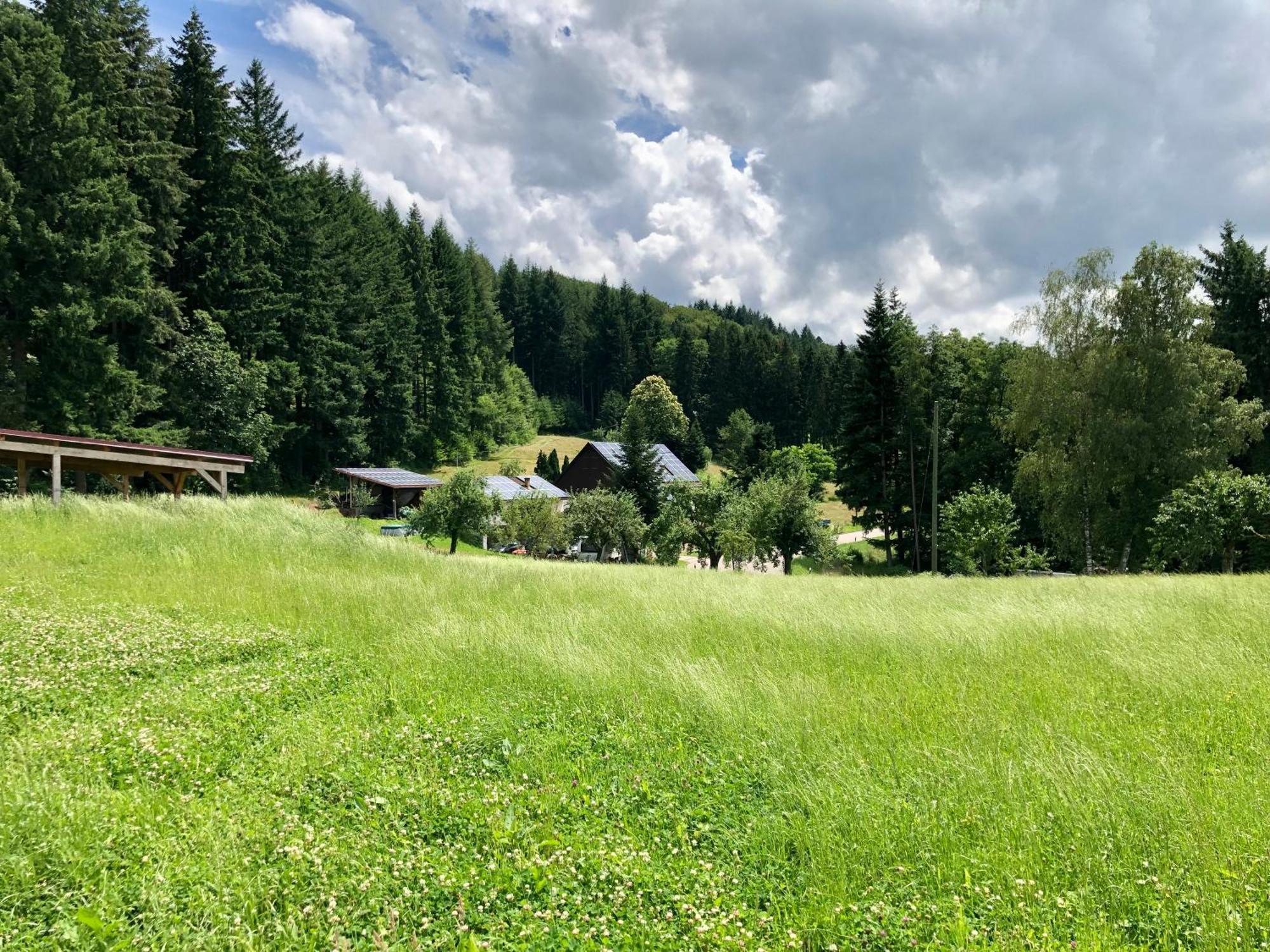 Ferien Im Schwarzwald Freiamt Ξενοδοχείο Εξωτερικό φωτογραφία