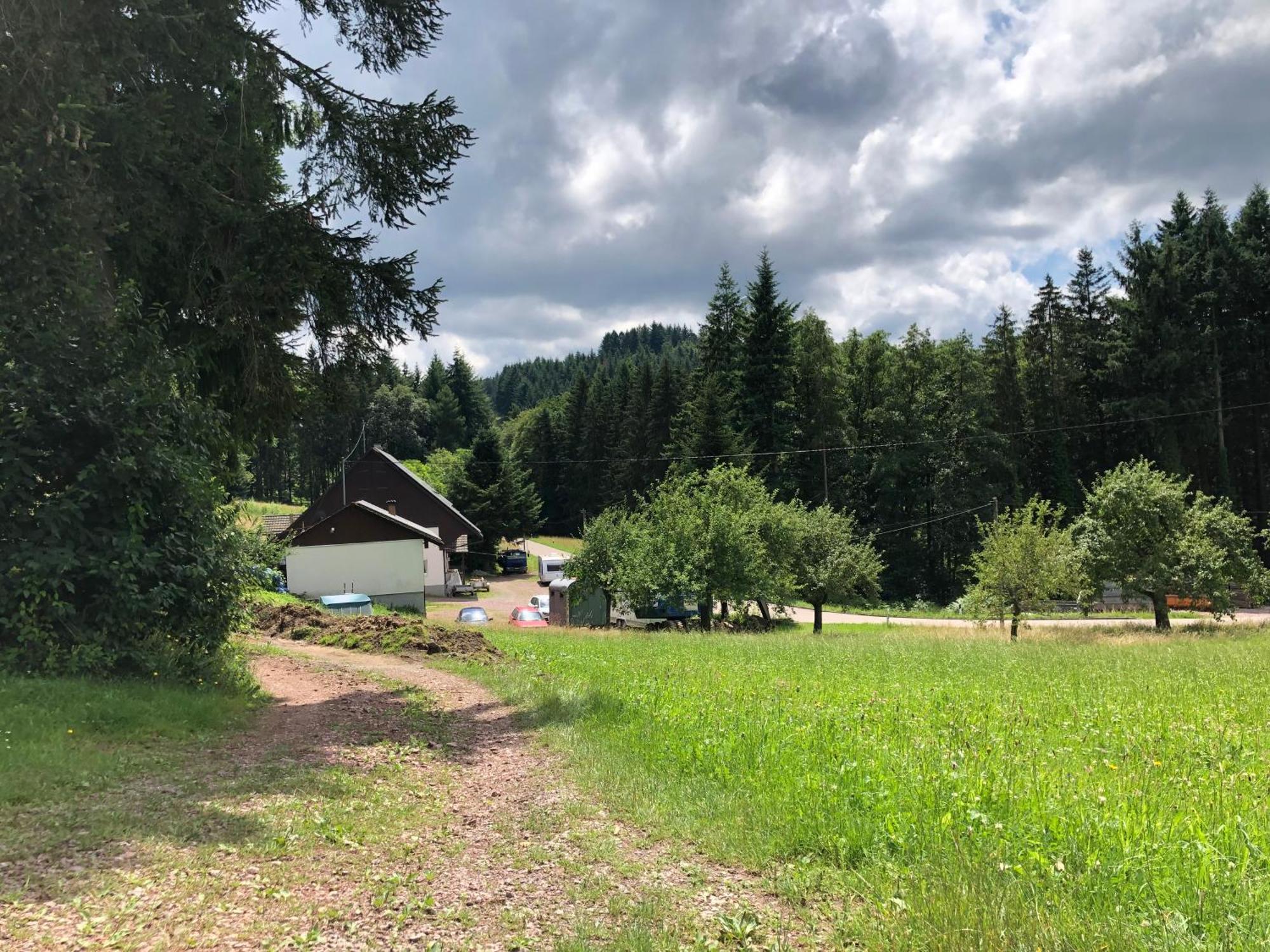 Ferien Im Schwarzwald Freiamt Ξενοδοχείο Εξωτερικό φωτογραφία