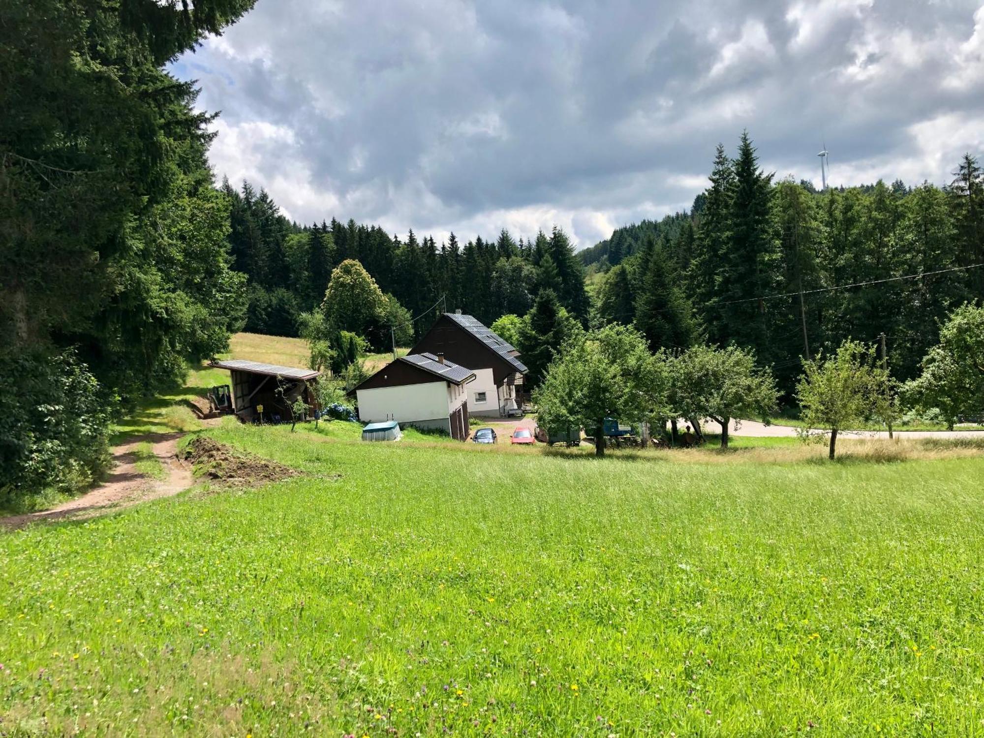 Ferien Im Schwarzwald Freiamt Ξενοδοχείο Εξωτερικό φωτογραφία