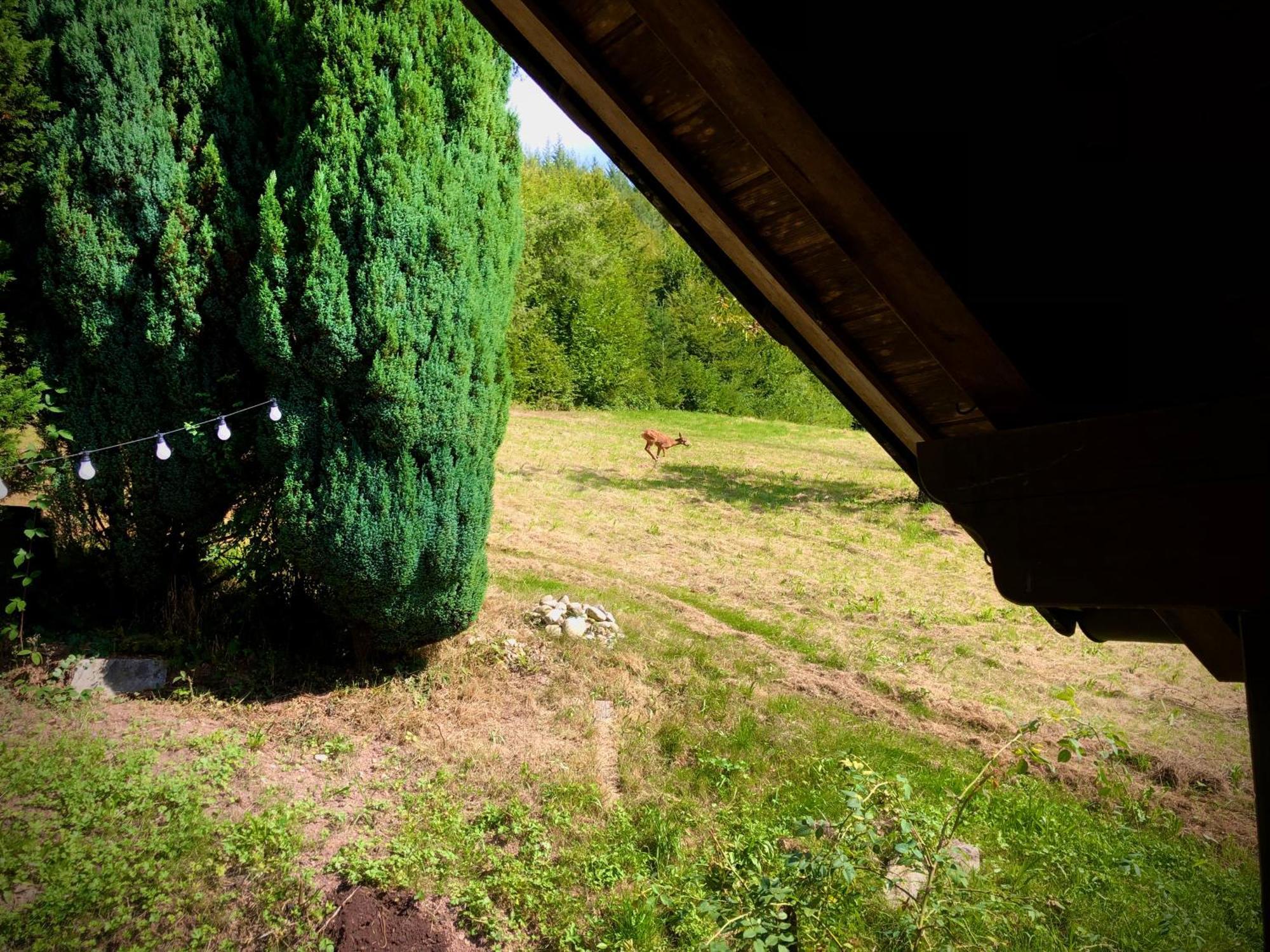 Ferien Im Schwarzwald Freiamt Ξενοδοχείο Εξωτερικό φωτογραφία